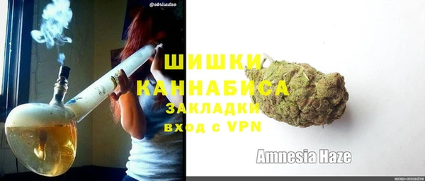 ПСИЛОЦИБИНОВЫЕ ГРИБЫ Балабаново