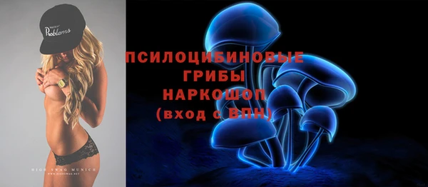 ПСИЛОЦИБИНОВЫЕ ГРИБЫ Балабаново