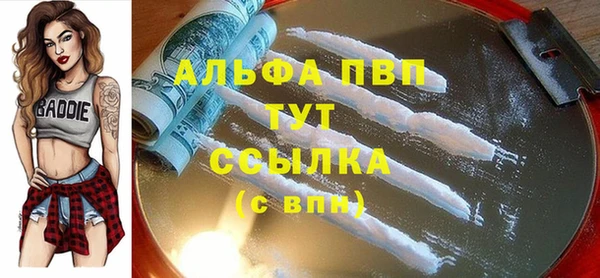 спиды Снежногорск