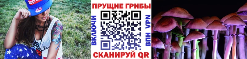 Псилоцибиновые грибы Cubensis магазин Шуя